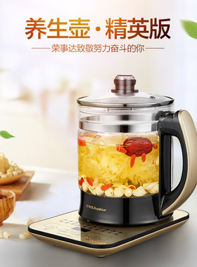 全自动多功能家用大容量养生壶