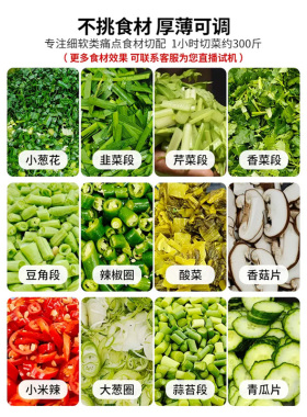 全钢多功能切菜机电动商用