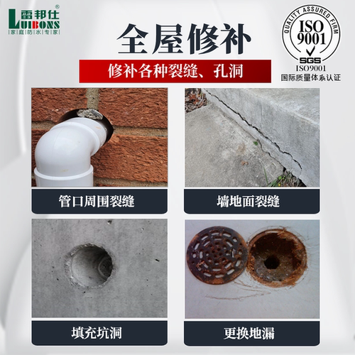 雷邦仕水不漏堵漏王快干速干水泥散装砂浆卫生间下水管裂缝防渗水 - 图1