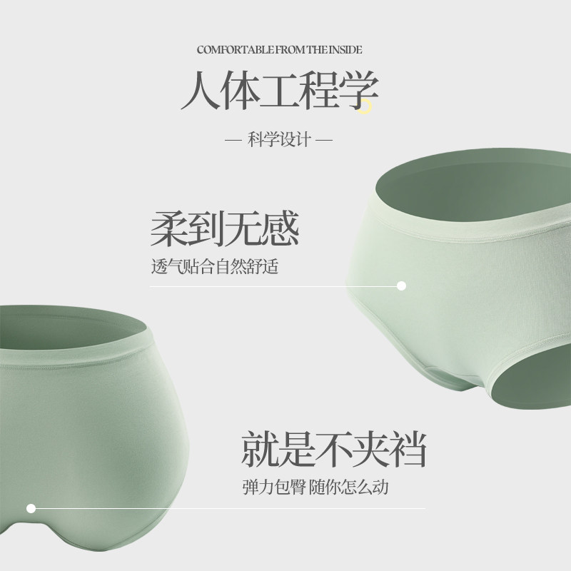 三枪女士纯棉无痕抗菌裆透气生内裤 三枪杭州女三角裤