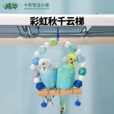 Игрушка, качели, радужная лестница, можно грызть, умеет карабкаться