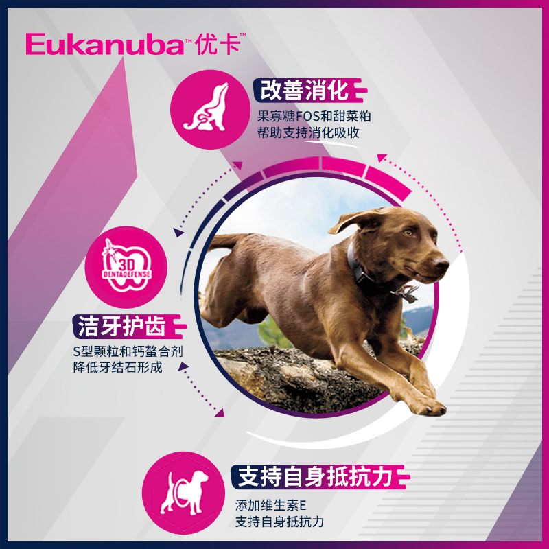 Eukanuba优卡狗粮大型犬成犬粮17kg金毛拉布拉多萨摩耶犬主粮34斤-图2