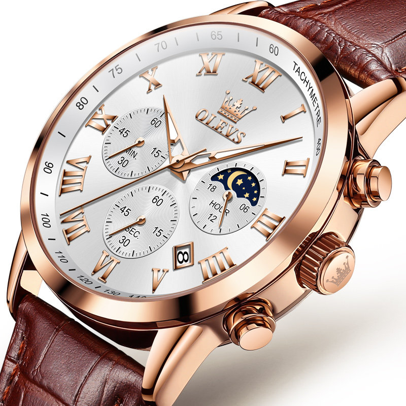 新款男士男款正品名牌真皮带机械表 olevs欧利时持诚国产腕表