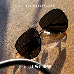 顺丰包邮】DW墨镜STEEL男女同款墨镜