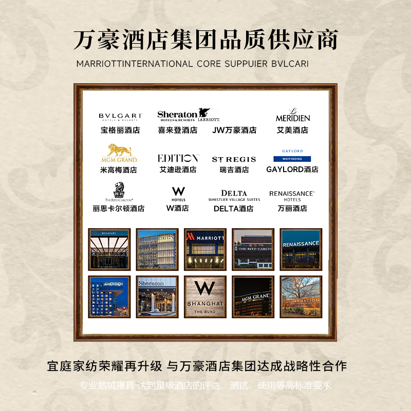 ESTEEM/宜庭绒丝加厚冬被被芯加厚被保暖被子柔软【专柜同款】 - 图3