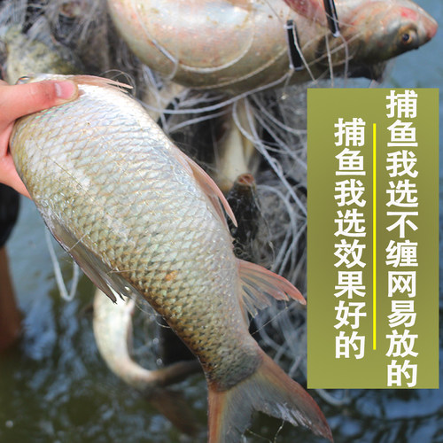 进口白丝渔网粘网鱼网三层丝网捕鱼鲫鱼网挂网白条网鱼丝50100米 - 图3