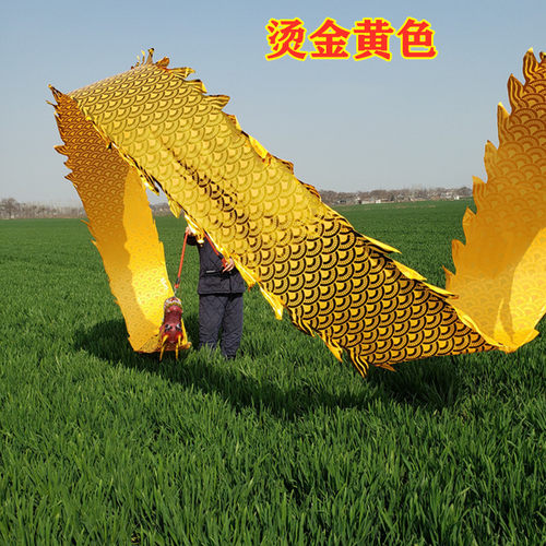 广场舞健身龙舞龙运动飞龙甩龙飘带彩带龙头单人舞龙甩龙龙布道具 - 图2