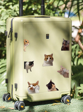 可爱猫咪贴纸卡通Q版搞笑哈基米
