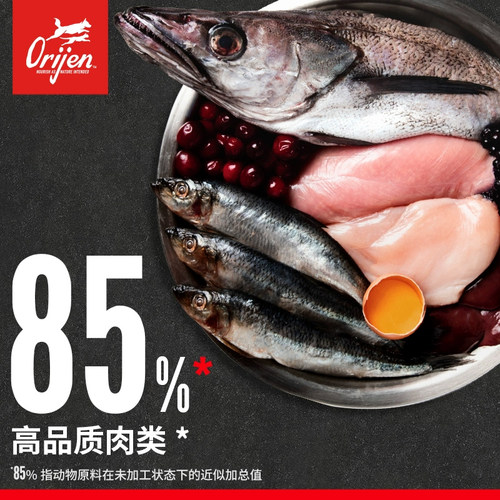 大菠萝宠物 美国进口orijen渴望无谷高蛋白鸡肉六种鱼全猫粮 - 图1