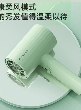 【热卖爆款】飞科电吹风机家用