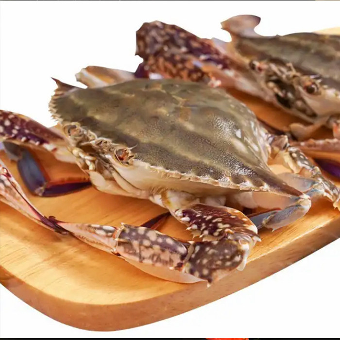 【保鲜不保活】丹东飞蟹梭子蟹大母螃蟹飞蟹满肉满黄冰鲜梭子蟹,淘宝优惠券,粉丝福利购,淘宝优惠卷