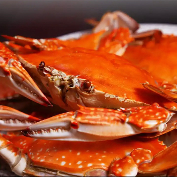 【保鲜不保活】丹东飞蟹梭子蟹大母螃蟹飞蟹满肉满黄冰鲜梭子蟹,淘宝优惠券,粉丝福利购,淘宝优惠卷