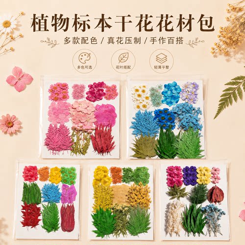 大花材包 押花材料包 植物标本研学活动材料 180朵+花材包 - 图1