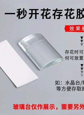 嫁接睫毛存花条山茶花开花存放胶条一包250条双面胶美睫辅助工具