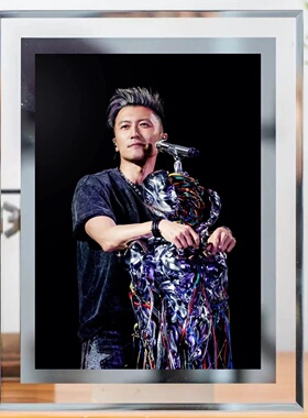 谢霆锋摇滚演唱会粉丝应援周边高清写真定制水晶相框宿舍房间装饰