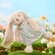 Gabriel Rabbit Plush Doll ນຸ່ງເສື້ອກະໂປງ Rabbit Companion Toy Cute Anniversary Gift for Women