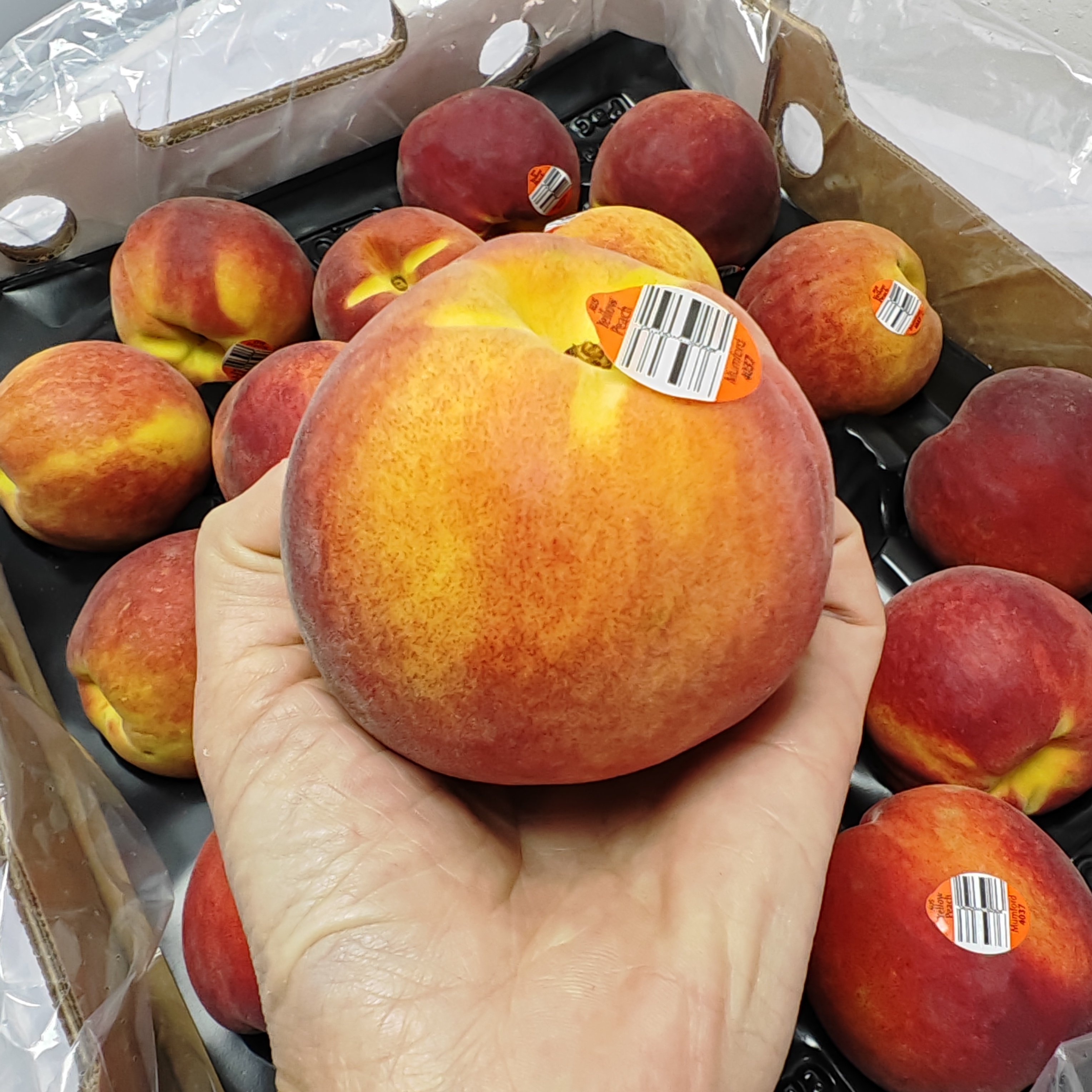 现货当季澳洲黄肉水蜜桃毛桃脆皮香甜桃子新鲜进口水果发顺丰,淘宝优惠券,粉丝福利购,淘宝优惠卷