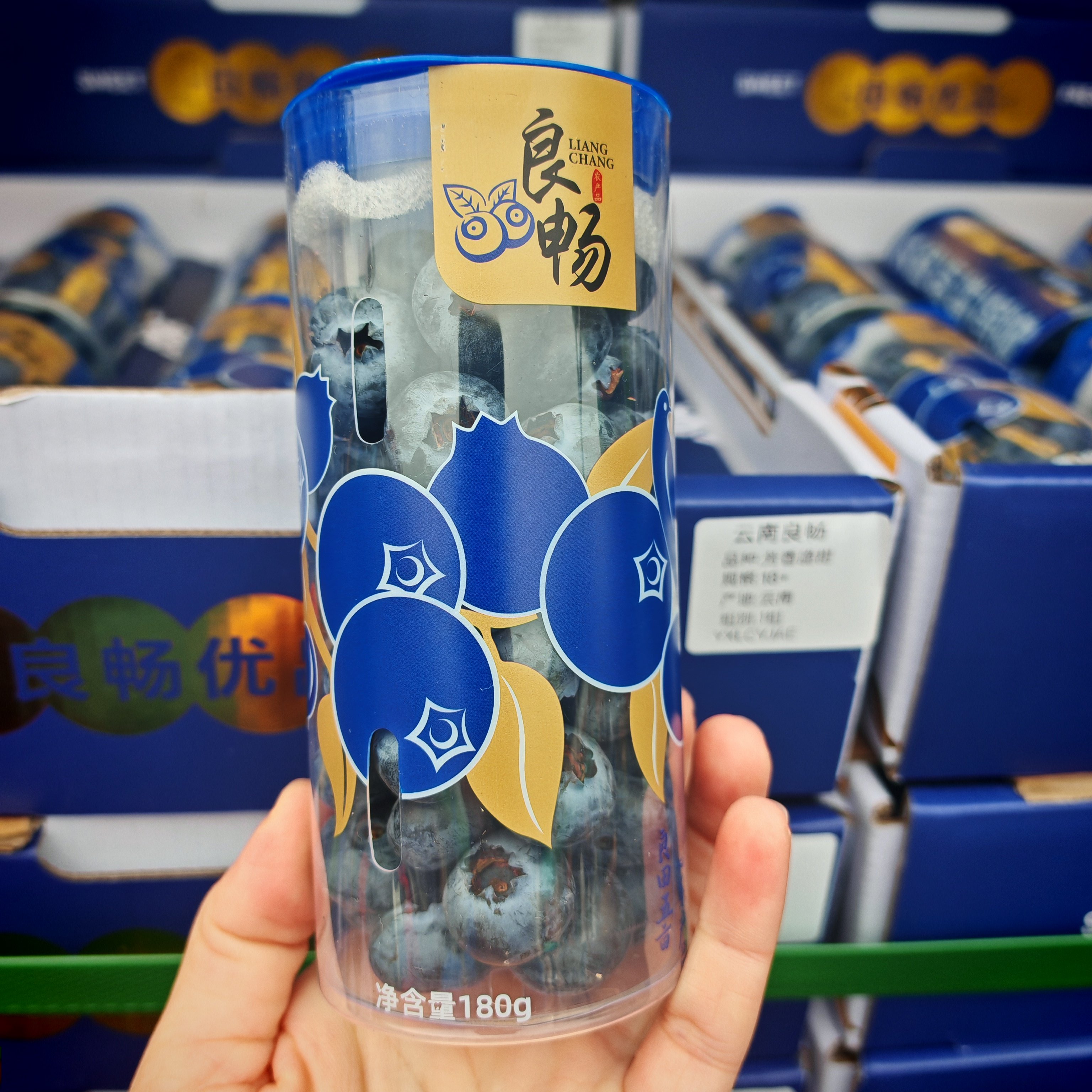 云南蓝莓脆脆莓当季新鲜孕妇水果蓝莓顺丰包邮,淘宝优惠券,粉丝福利购,淘宝优惠卷