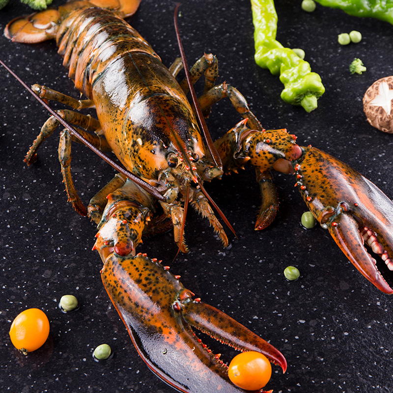 味库海鲜【推荐装】味库活龙虾波士顿龙虾鲜活大龙虾1-10斤特大波龙澳龙0