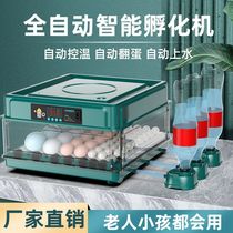 Machine Fully Automatic Smart Luding Chicken Hatchery Water Bed Hatching Box for Incubator Mini Home Type Hatching Chicks