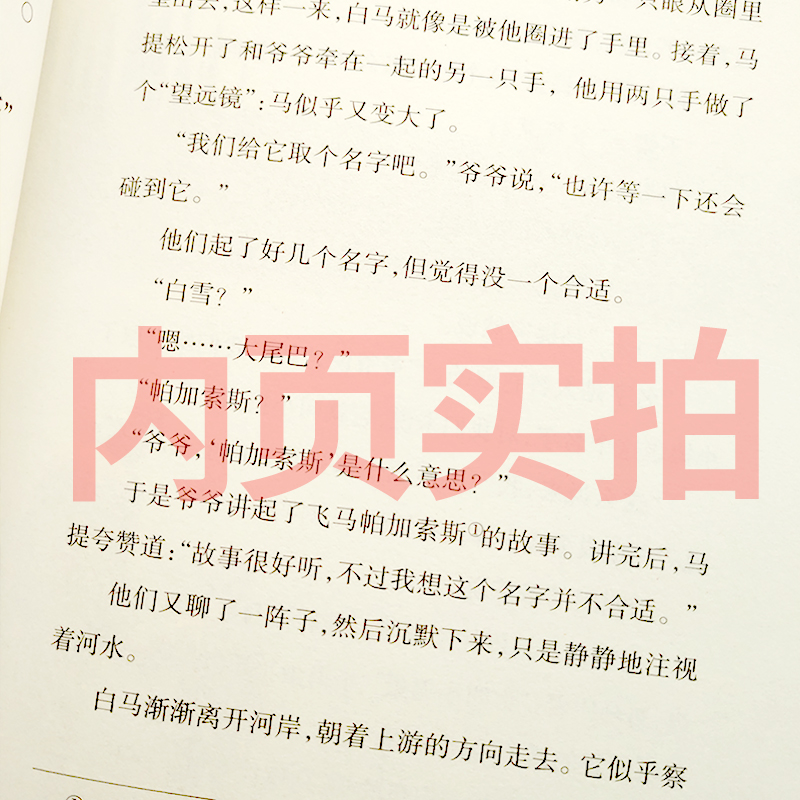 马提与祖父新蕾出版社国际大奖小说非注音版三年级四年级五年级六年级小学生课外阅读必读书籍 7-8-10-12-14岁儿童成长励志故事书-图0