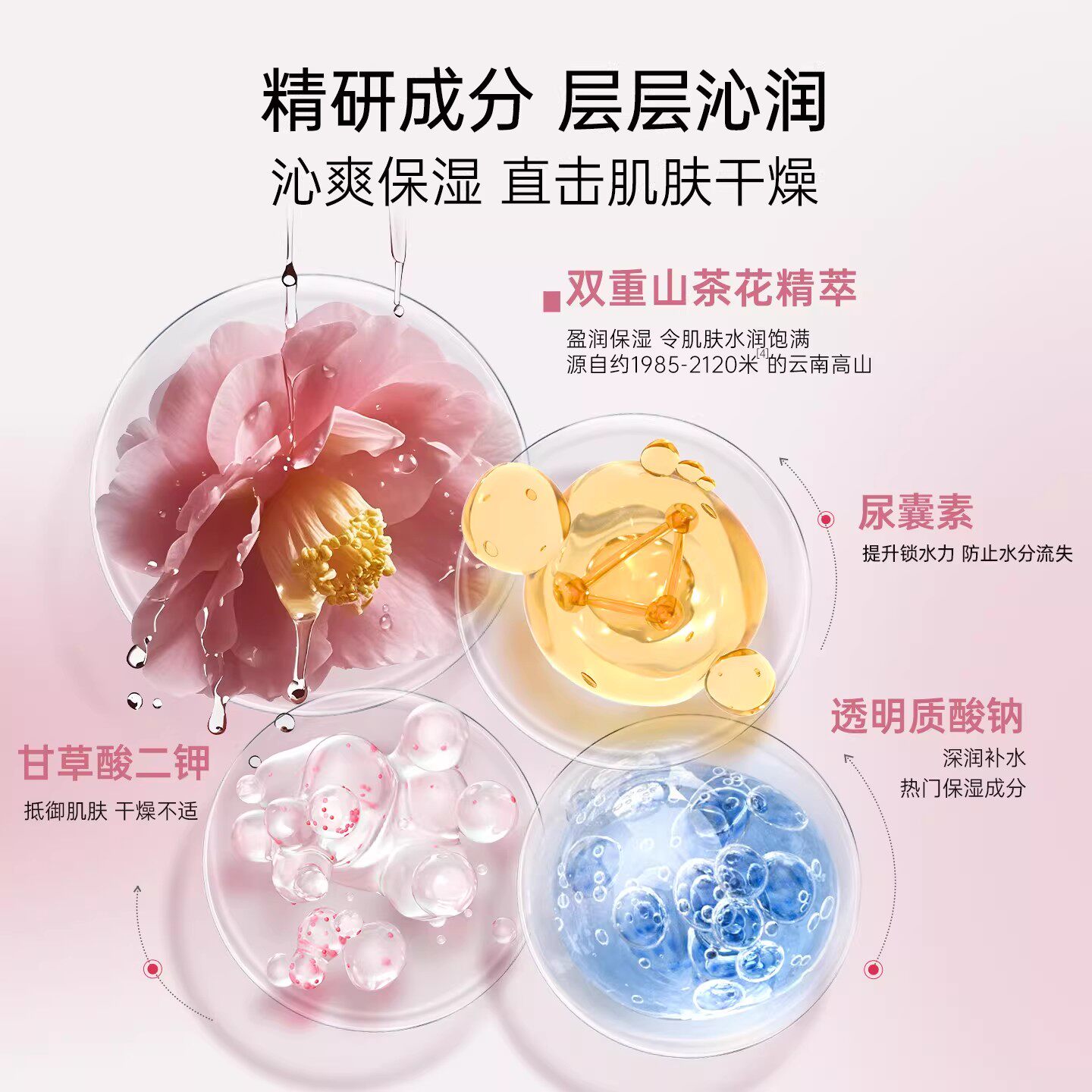 植物医生旗舰店山茶花盈润补水保湿面膜深层补水保湿官网正品T