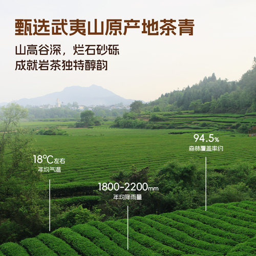 孝文家茶红罐奇香大红袍岩茶口粮茶 武夷山乌龙茶茶叶罐装品鉴茶 - 图3