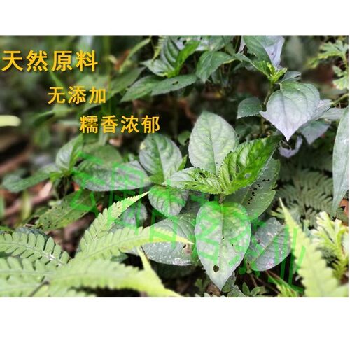 屏边 糯米香叶 散装250克 林下优质料糯香麒麟大口茶配料 - 图0