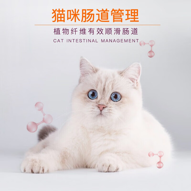 亿迪成猫专用粮全价猫粮营养猫零食旗舰店3斤蓝猫布偶成年老家猫