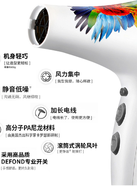 火之凤发型师专用静音吹风机
