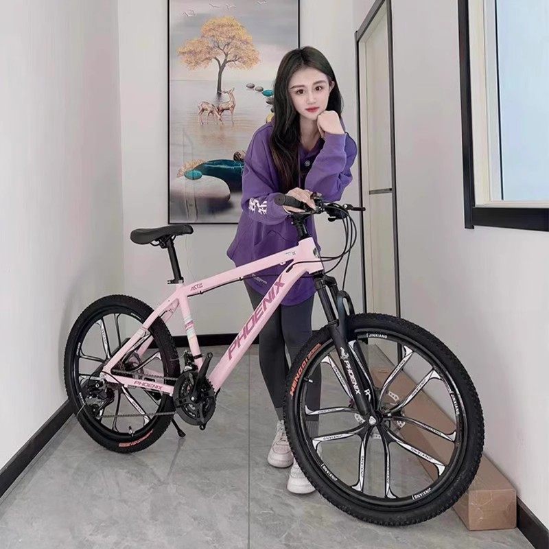 凤凰牌男学生女变速轻便成人山地车 天地运动山地自行车