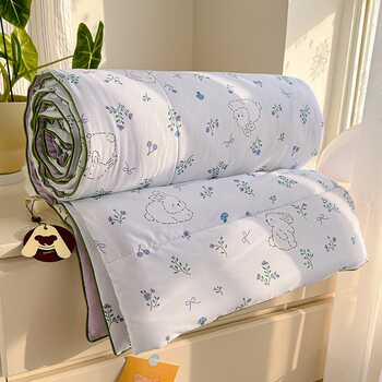 A类母婴级洛丽塔公主风双层纱夏被空调被子券后49.9元包邮