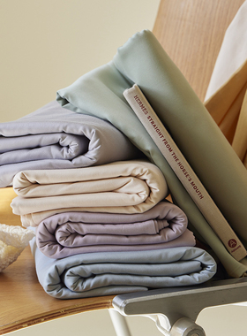 A类母婴级纯棉磨毛床单单件纯棉100全棉加厚高级纯色紫色双人被单