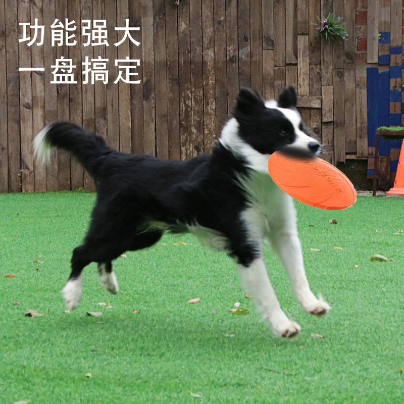 狗狗飞盘边牧小狗宠物飞盘狗专用飞盘耐咬训练飞碟训犬玩具-图1