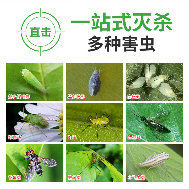 粘虫板黄板双面诱虫板除蓟马小黑飞蚜虫苍蝇果园户外大棚物理杀虫 - 图0