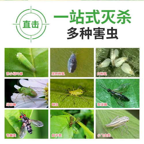 粘虫板黄板双面诱虫板除蓟马小黑飞蚜虫苍蝇果园户外大棚物理杀虫 - 图0