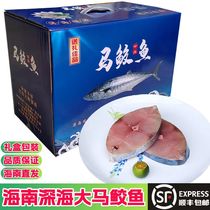 Hainan Wenchang Giant Horse Shark Fish Fresh Deep-sea Fishing Ice Fresh no salt midsection sliced 3-10 catty boxes for air transport