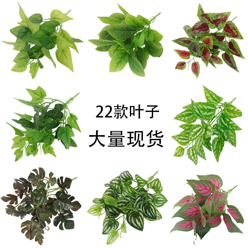 仿真植物过胶绿萝叶植墙面装饰植物墙绿植墙配材塑料假草软装植物 - 图0