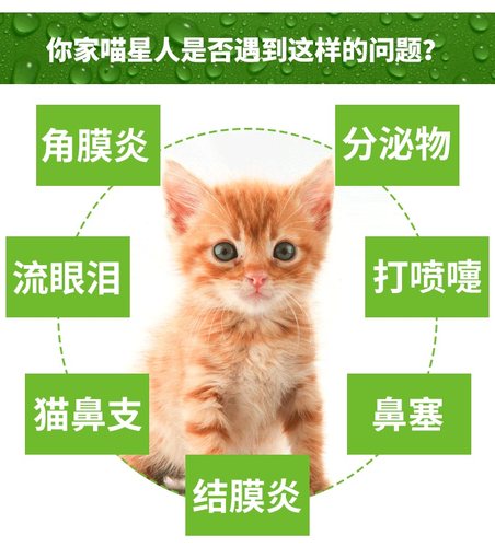 马克西昔金猫鼻支鼻滴治疗康滴鼻液猫咪滴眼疱疹病毒宠物角结膜炎-图1