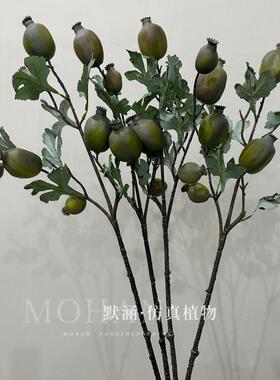 罂粟果艺术插花果实样板间摆放