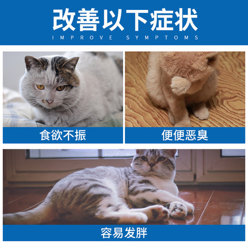 路加宠物 法国皇家营养i27室内成猫猫粮2kg美短英短蓝猫通用防伪 - 图2