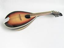 The ladylike tenor of the Mandolin the ladylike mandolin Mandolin the eight-stringed mandolin the mandolin.