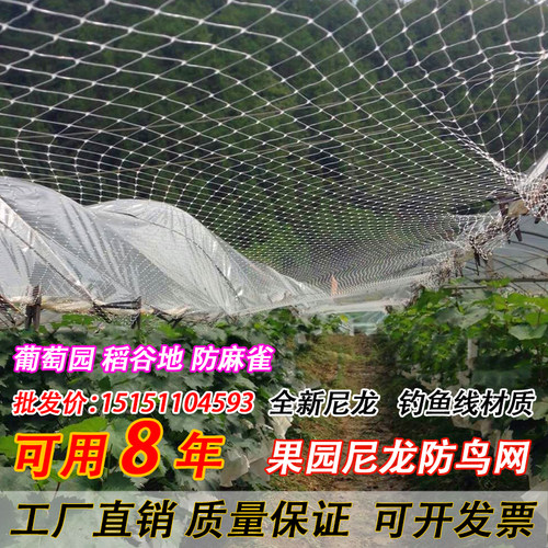 尼龙防鸟网白色农业果园果树天网葡萄鱼塘樱桃树枸杞农田防鸟用网 - 图3