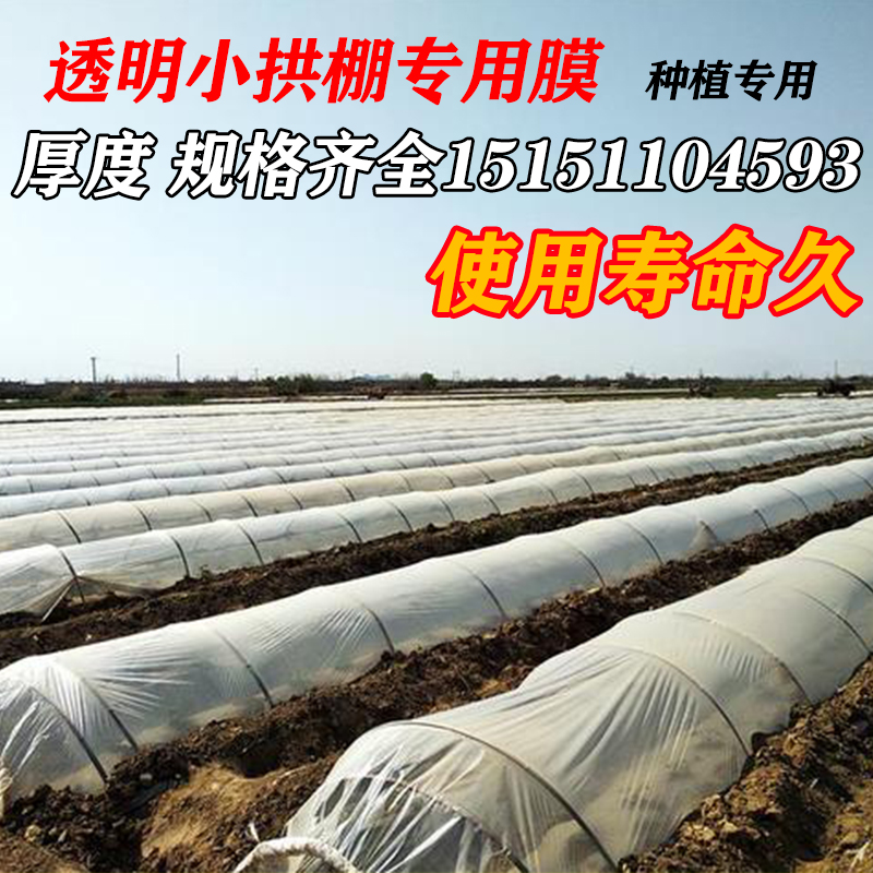 白色塑料薄膜小拱棚膜保温蔬菜大棚膜地膜防水塑料薄膜公路防护膜 - 图0