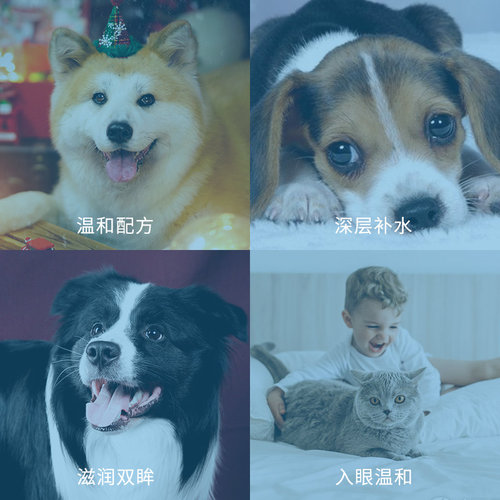 闪粹Sentrx美国角膜修复凝胶宠物猫狗溃疡发炎眼药水干眼症滴眼液 - 图1