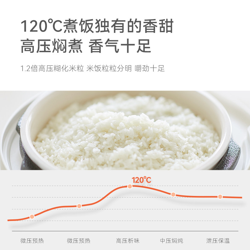 olayks出口日本原款电家用压力锅 olayks电压力锅