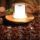 Decorative desk lamp Mother’s Day gift with long battery life