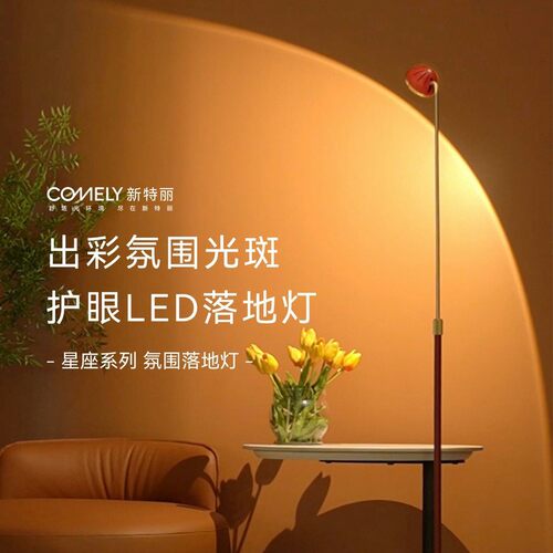 新特丽星座小圆帽落地灯沙发角氛围客厅高级感卧室立式床头角落 - 图0