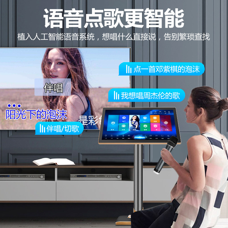  炫宝迪KTV/卡拉OK音箱