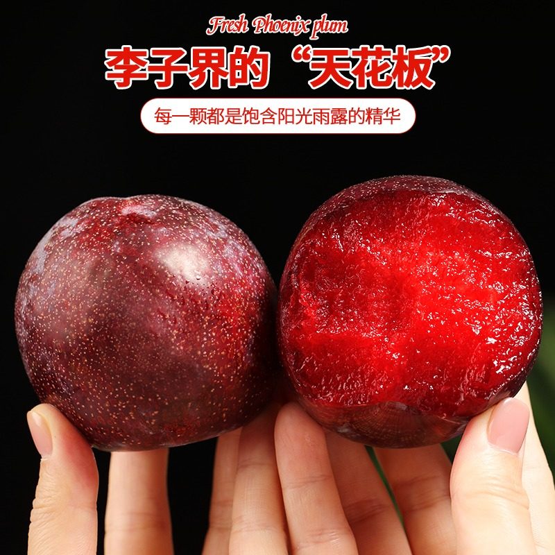 智利进口李子新鲜恐龙蛋当季孕妇水果樱桃李红心血丝李女王凤凰李,淘宝优惠券,粉丝福利购,淘宝优惠卷